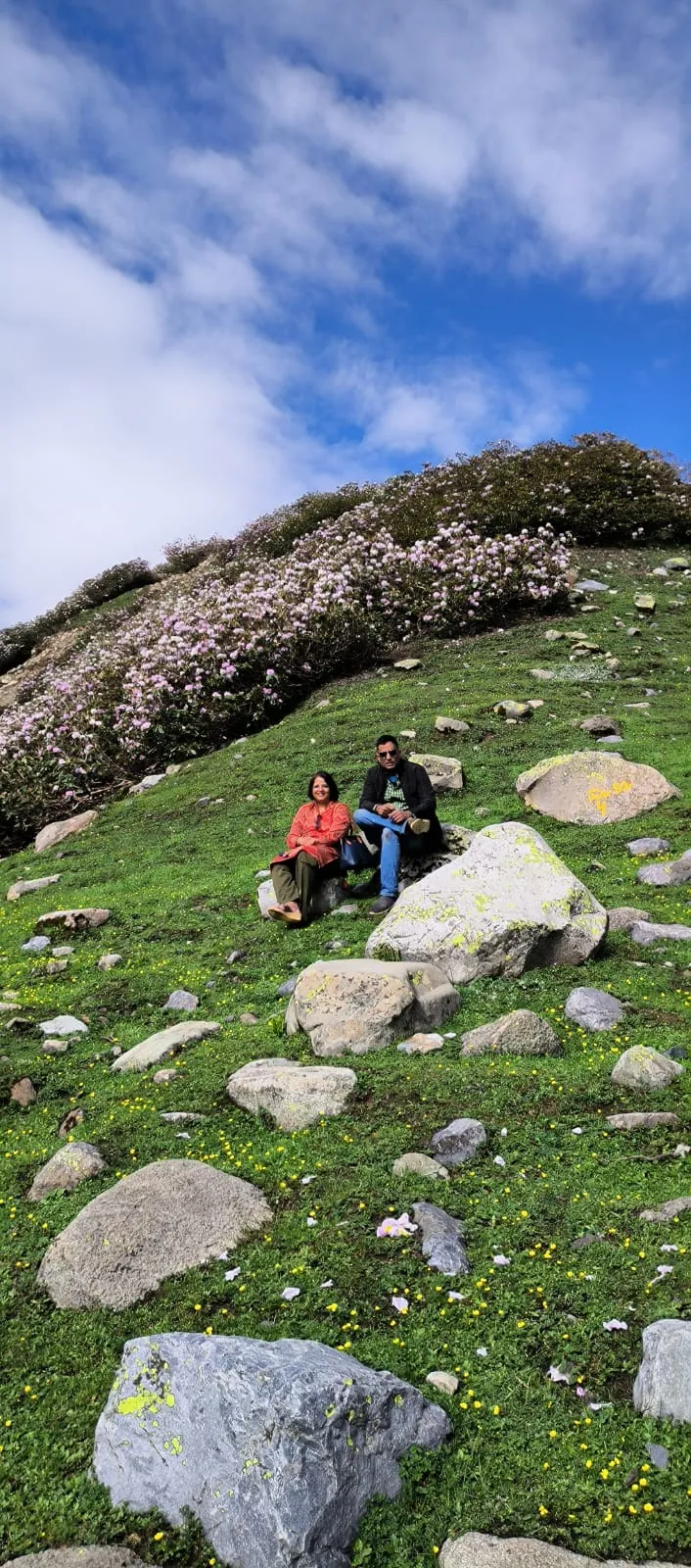 A pause in an alpine meadow in Kashmir, India.