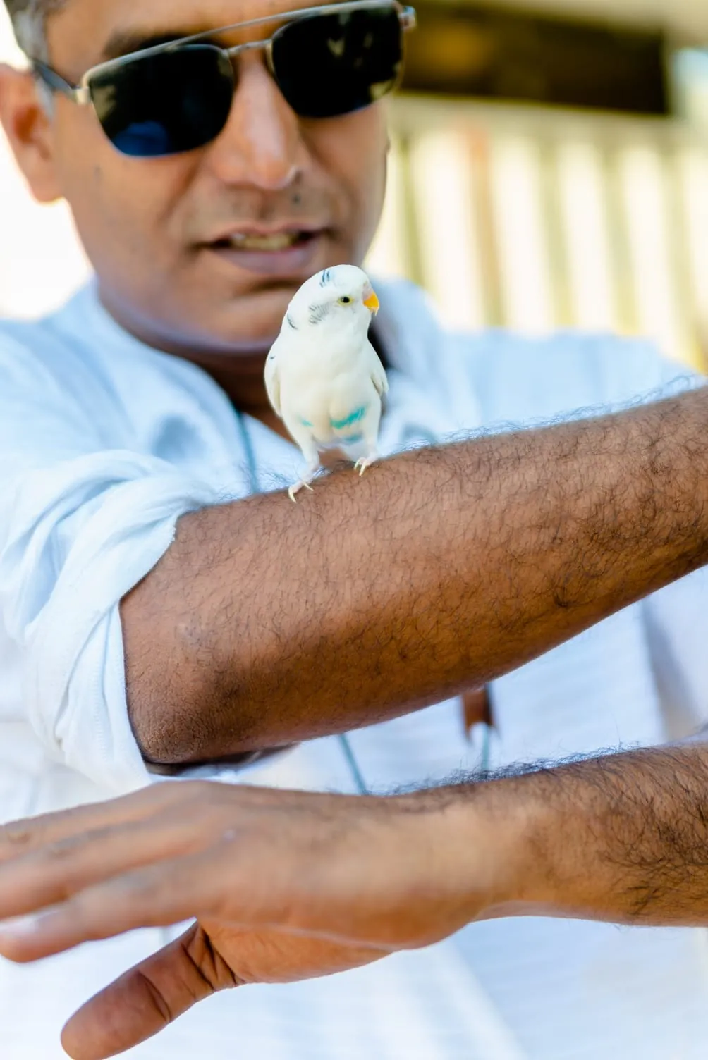 A quiet encounter with a bird along the St Petersburg–Iran rally route.
